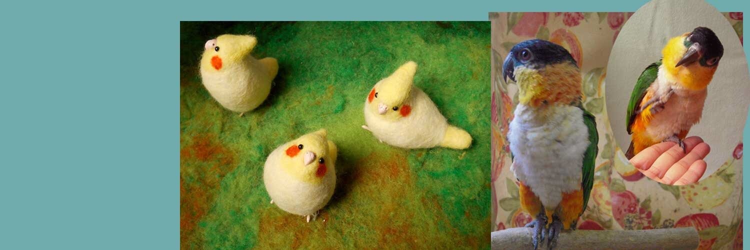 bobwhite's profile banner image