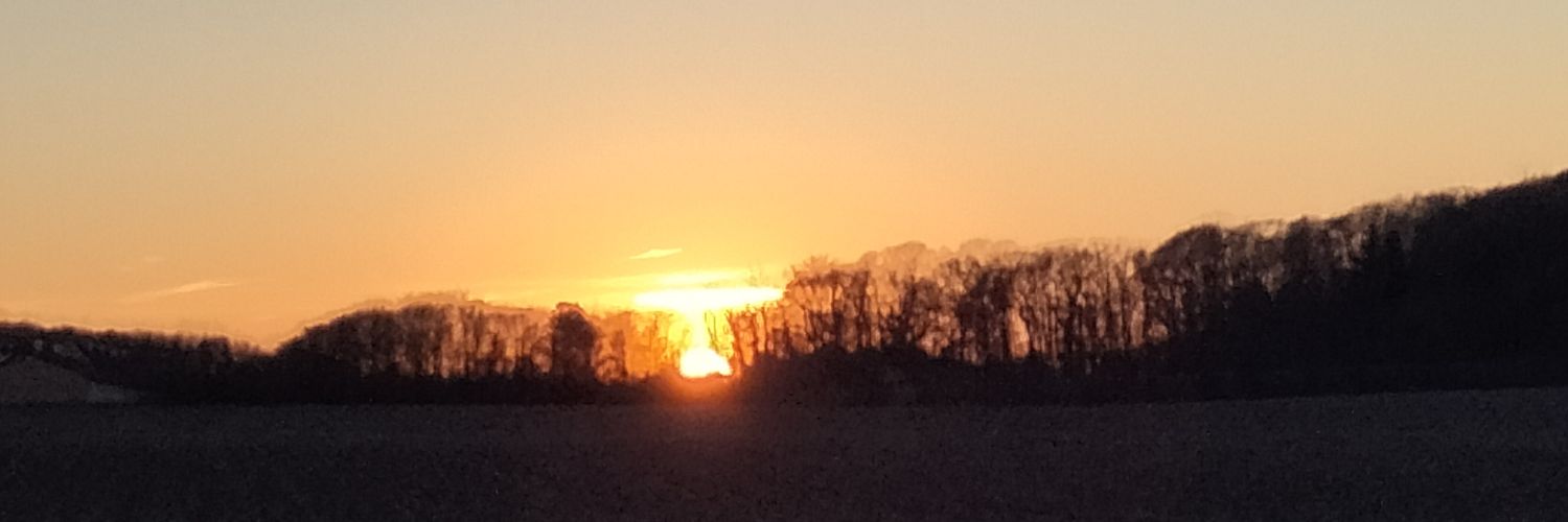 michael Andersen banner