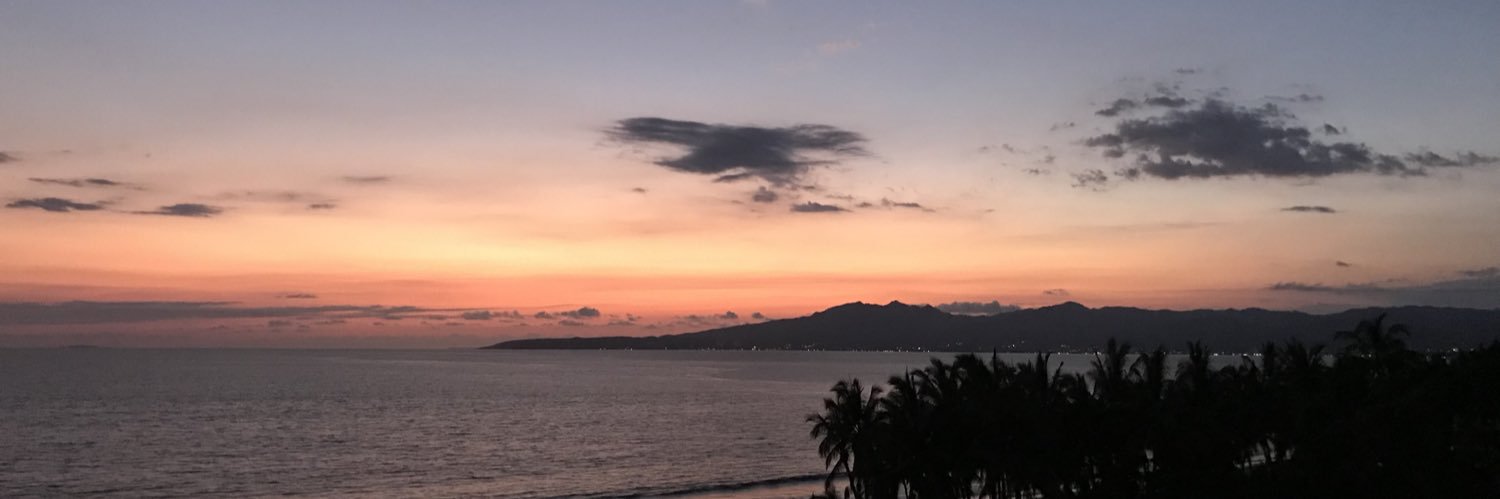 thereal_tswift's profile banner image