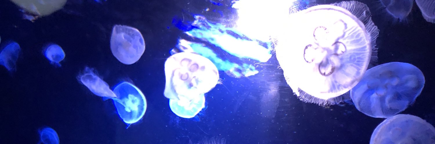 海 banner