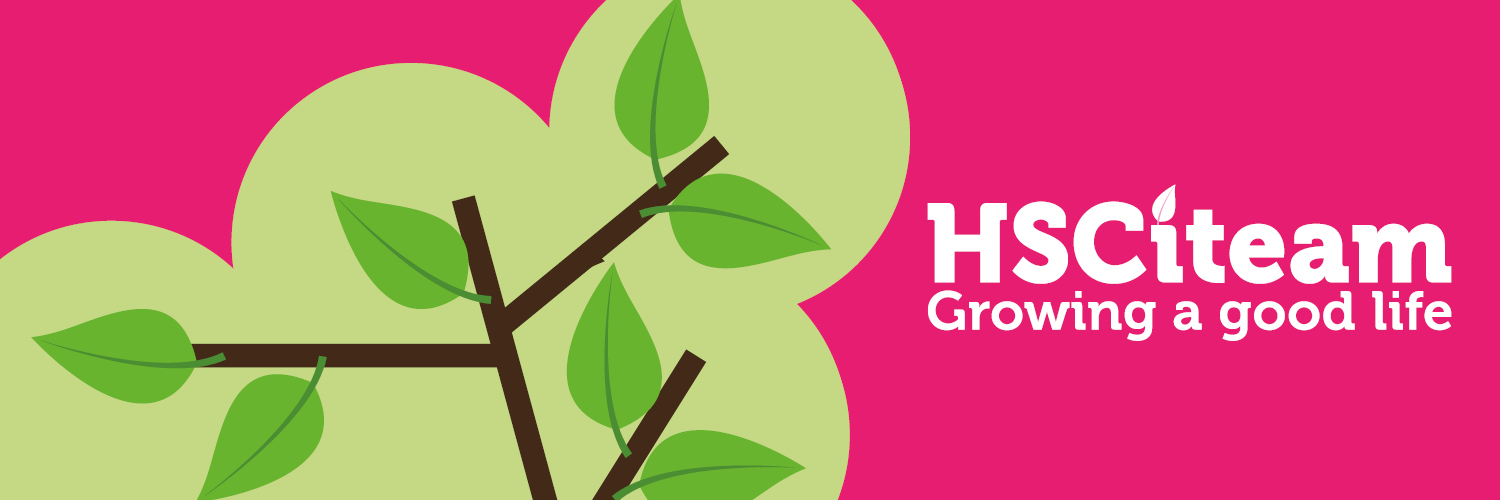 Health and Social Care Improvement Team banner