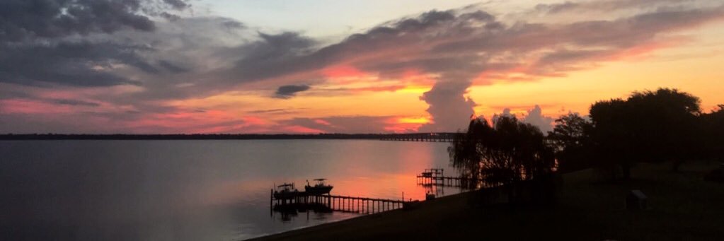 katiebelser's profile banner image