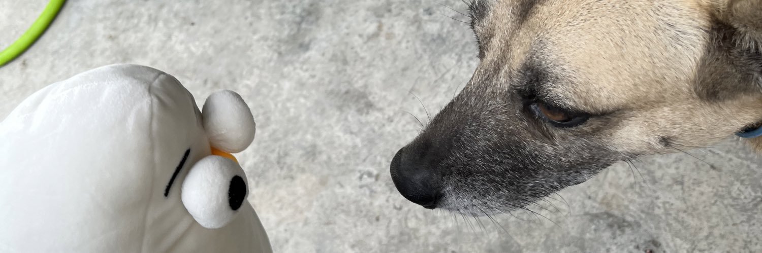 BlossomPurplexl's profile banner image