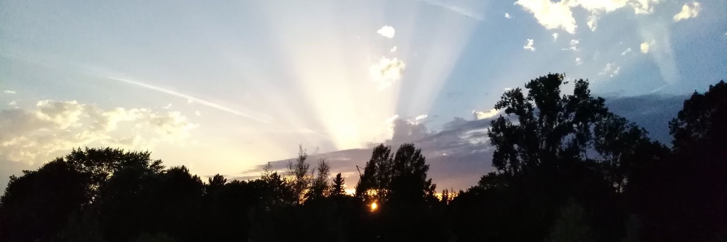 H4usf33's profile banner image