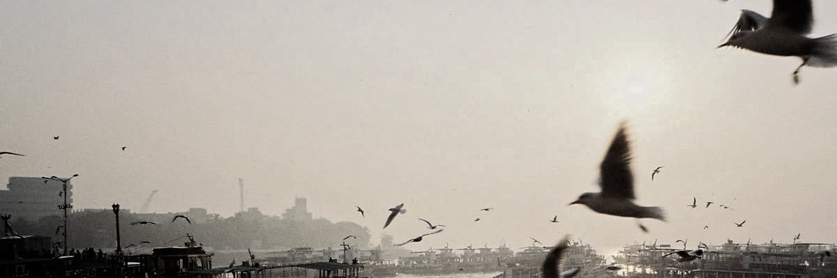 BHANU NAROTTAMA. banner