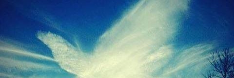 ROBBIE_NFT banner