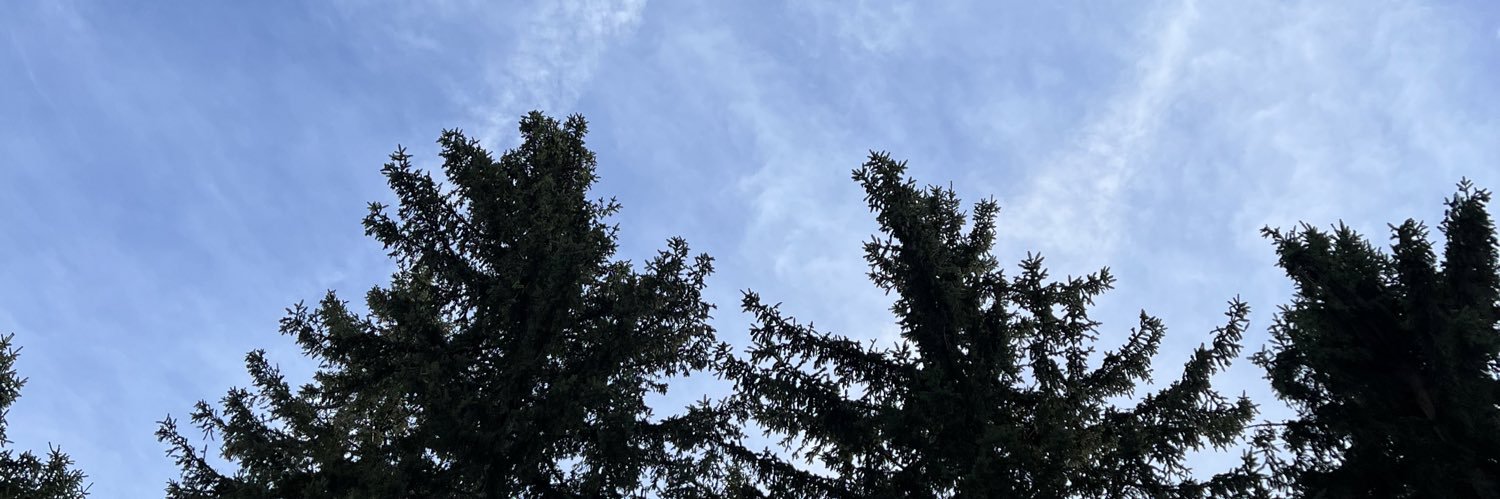 Daniela Parra banner