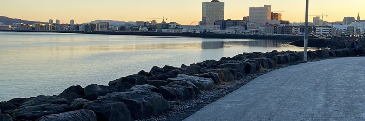Þráinn Guðbjörnsson banner
