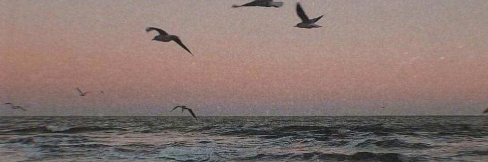 Martaaa_29's profile banner image