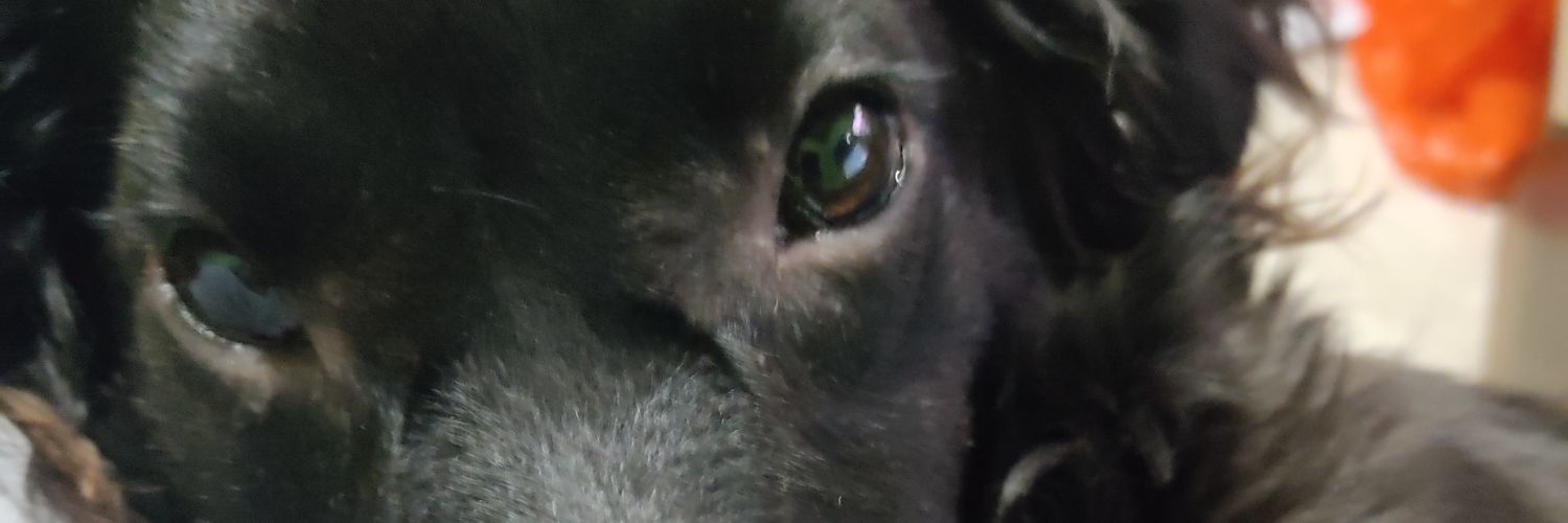 trueballen's profile banner image