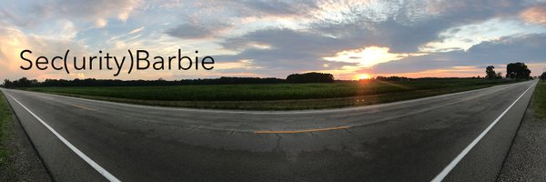 SecBarbie Profile Banner