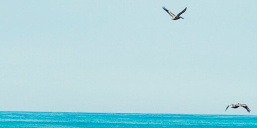 chrits's profile banner image