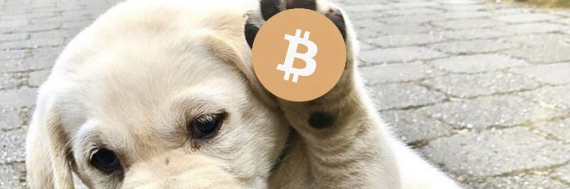 HodlMery's profile banner image