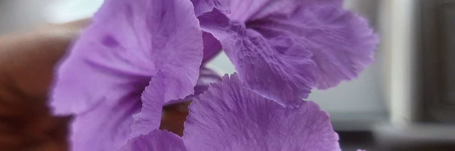 jo_owan's profile banner image