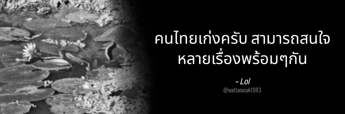 พันโท 𓐄 รับตามหาของ banner