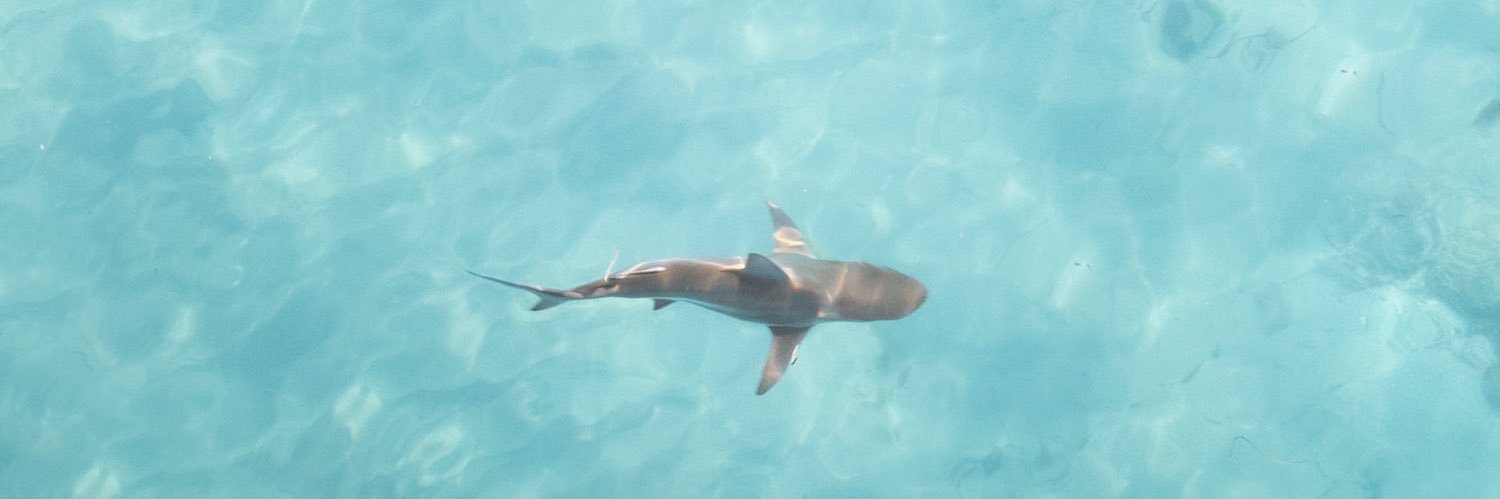 Capturesbyjordan banner