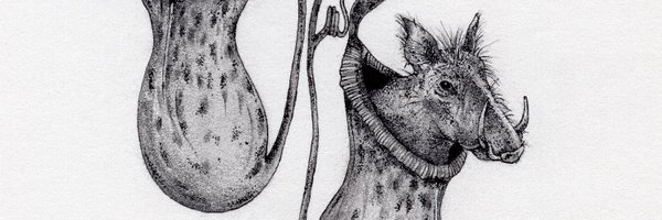 AlexandraBalwit Profile Banner