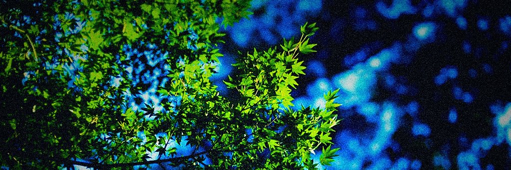 _____K1997's profile banner image