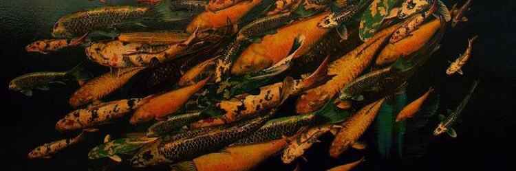 mil banner