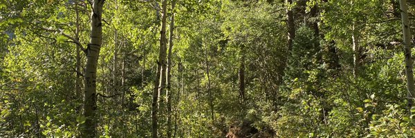 TripleStan Profile Banner