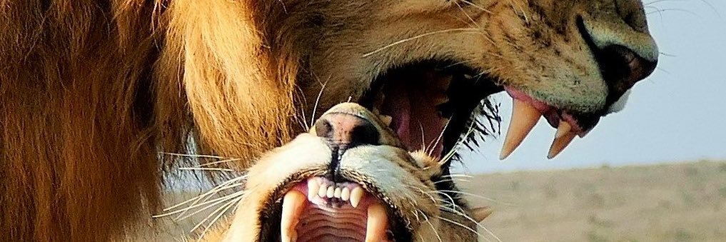 jenwarren278's profile banner image