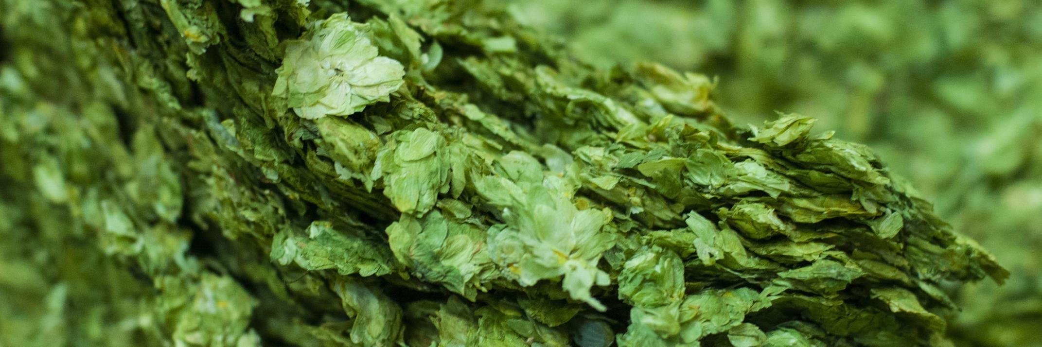 PacificBrewDude's profile banner image