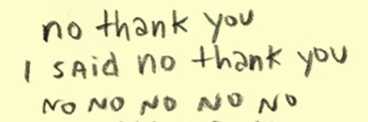 Sharkaila 🍋🦈 banner