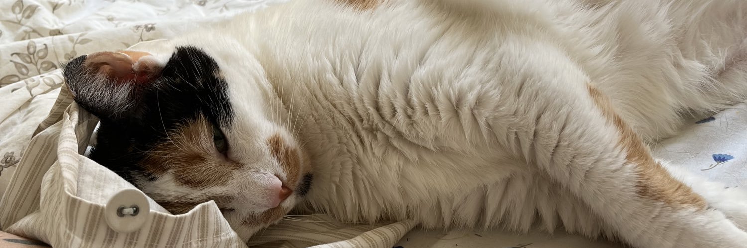 Kristen Levine banner