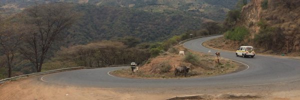 kaburo Profile Banner