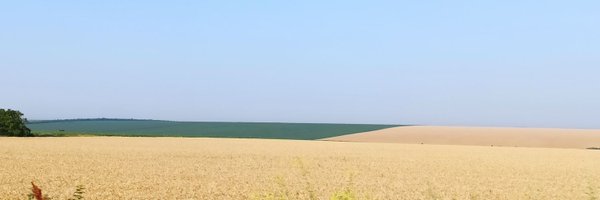 Natalie17606225 Profile Banner