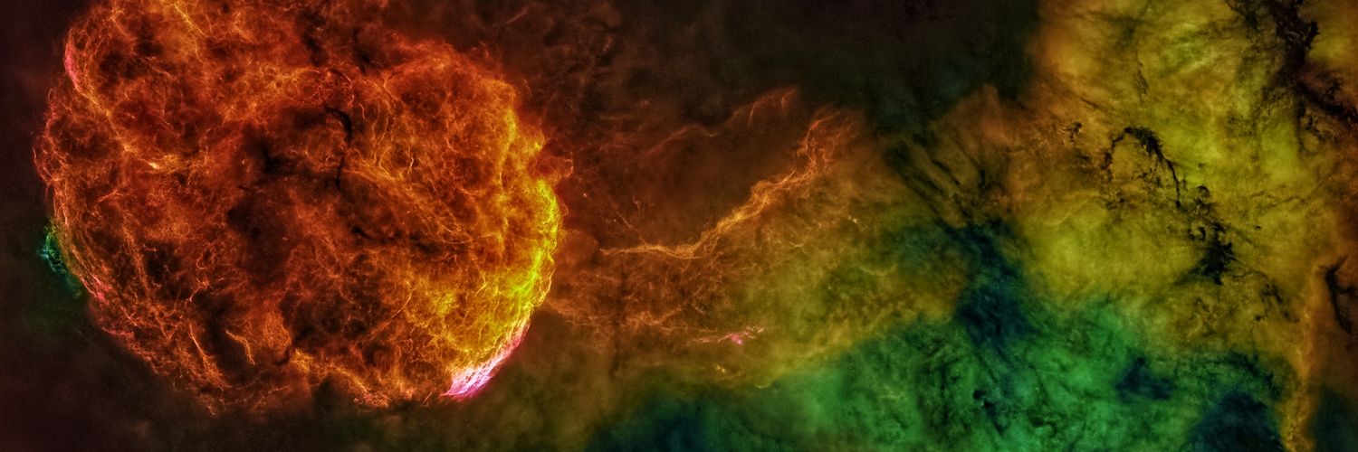 Dr. Peter NFT banner