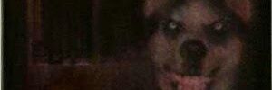 AlejandroBreak3's profile banner image
