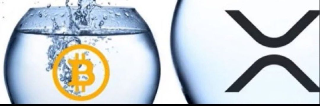 TruekingXRP's profile banner image