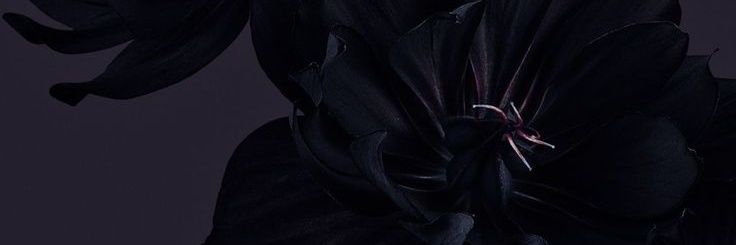 Gärüpa🥝🏍 banner