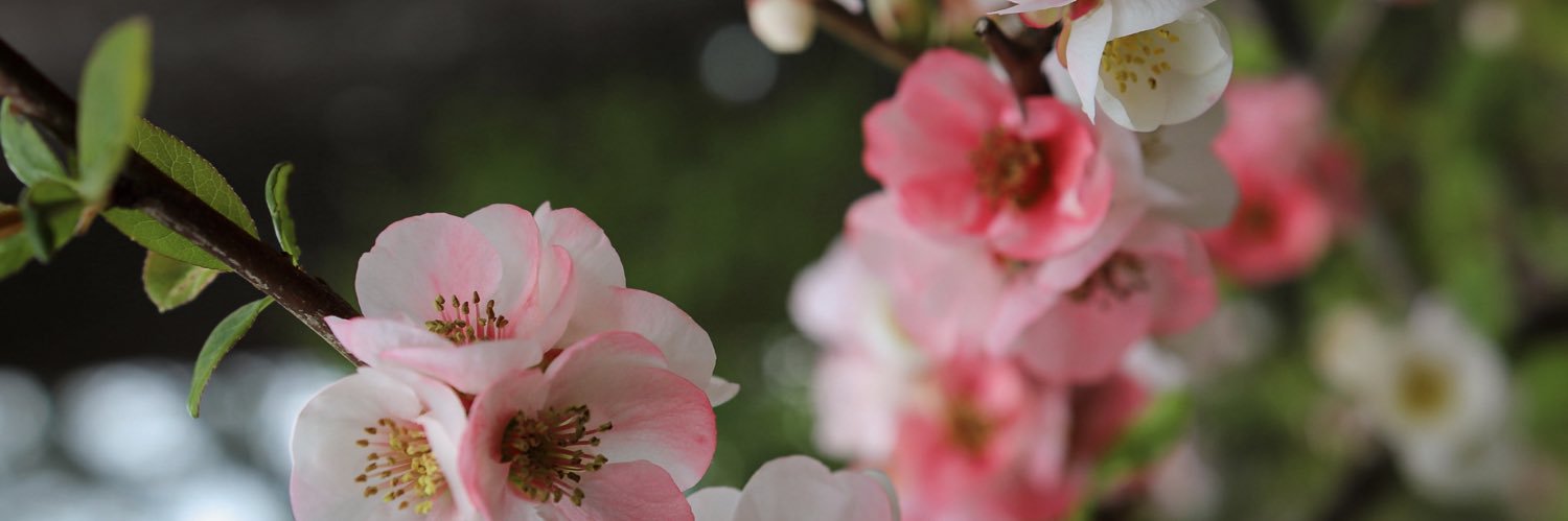 e-beth banner