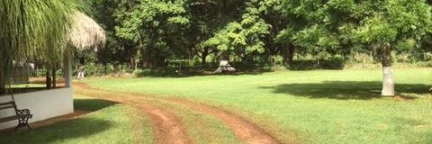 mirrusa's profile banner image
