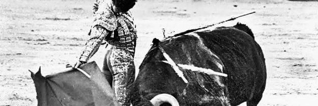 Diego Bastos Aliaga banner