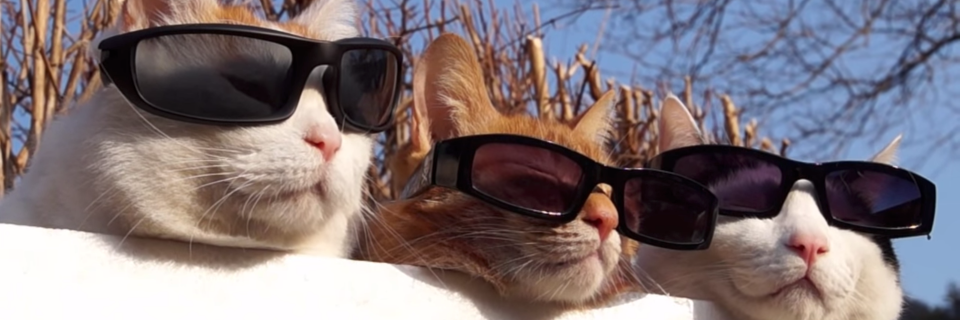 Nick Gerlock 🇵🇸 banner