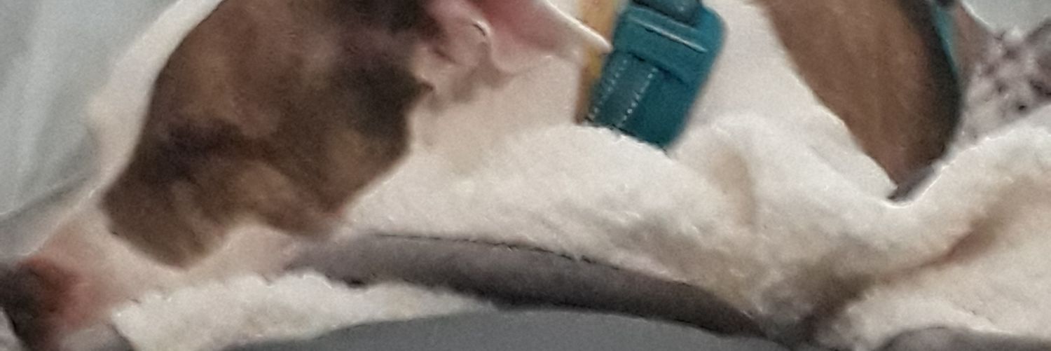 jokendall's profile banner image