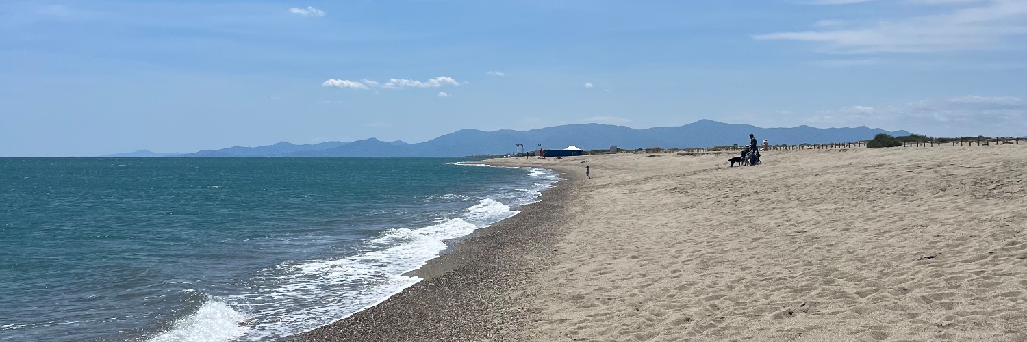 max-tucci 🇵🇸 banner