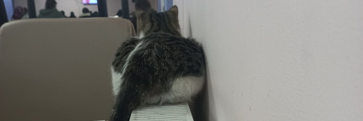 ncybos's profile banner image