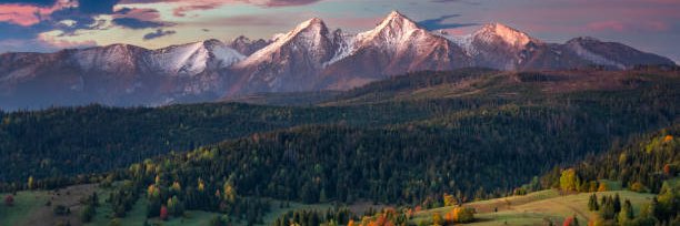 Big Papi Irish AKA Uncle Argyle banner