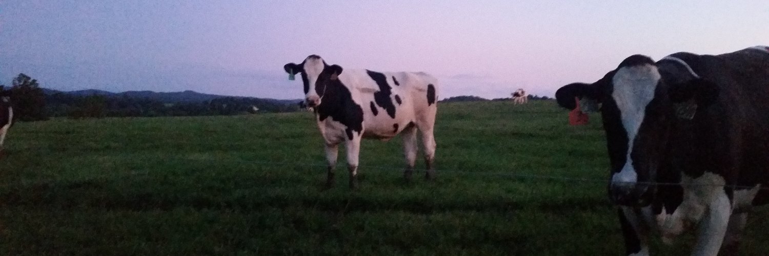 MitchellBeef's profile banner image