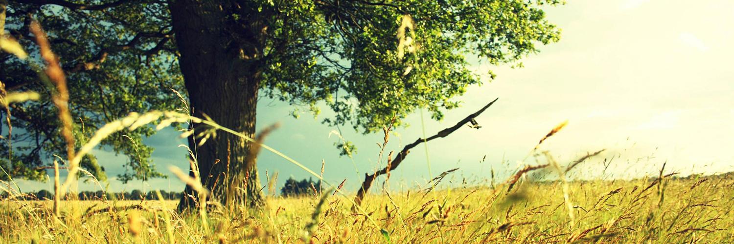 Grundy County Housing banner