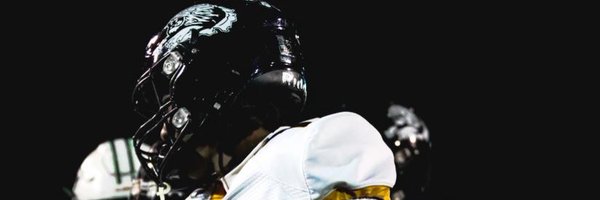 Alvindinkins5 Profile Banner
