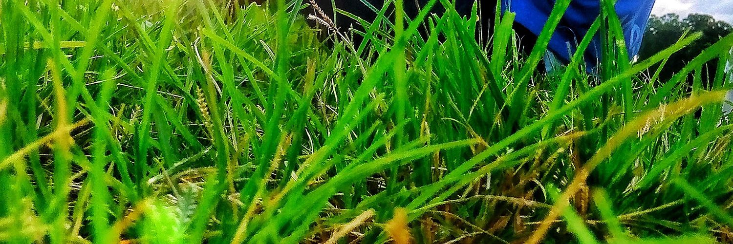 Smiling Boo😍 banner