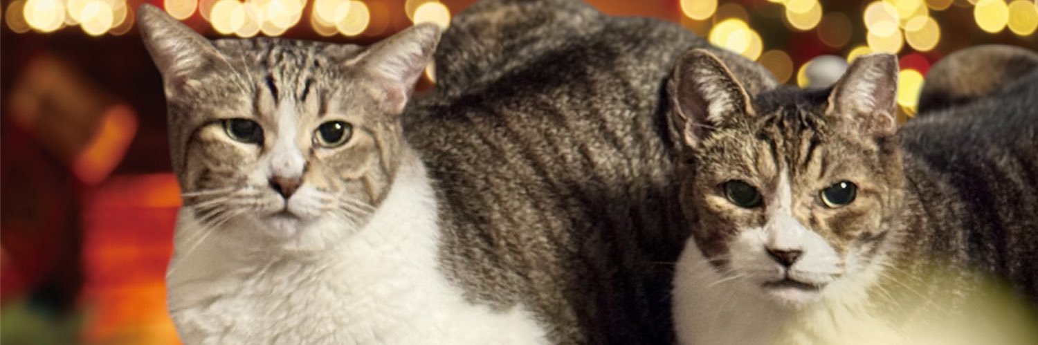 sasya286🦖🌱🙏🇺🇦🙏 banner