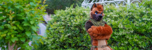 RingerShep Profile Banner