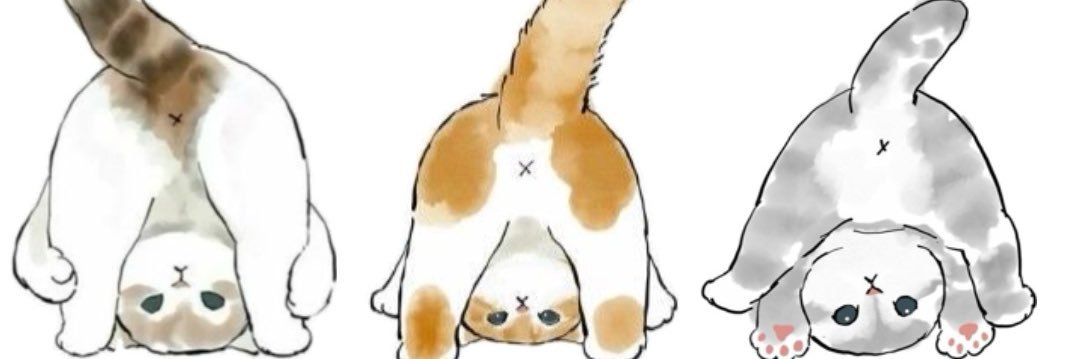 lexshiyn's profile banner image