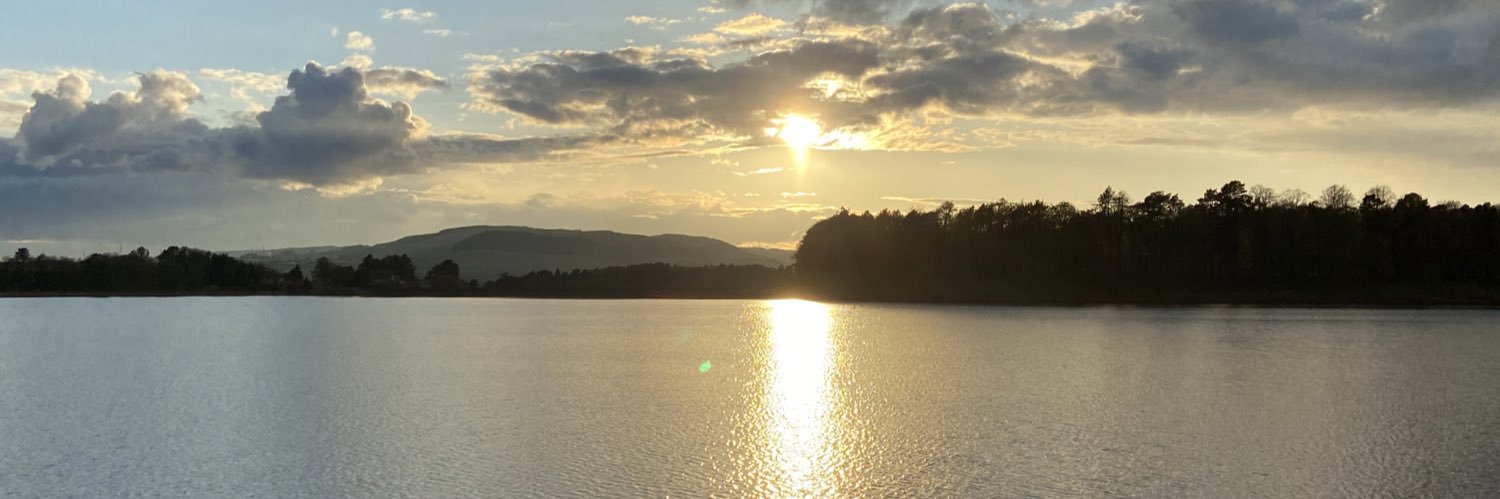 Carolyn Lowry banner